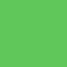 Matte HTV- Apple Green 12" Roll