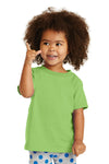port & company toddler lime