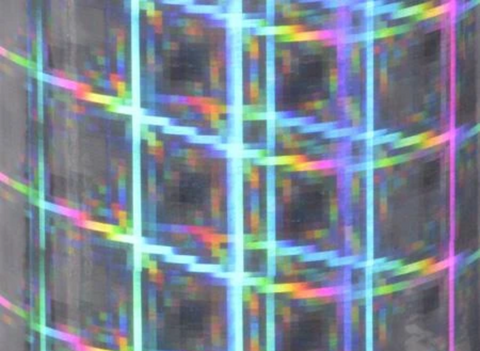 Outdoor Plaid Holographic