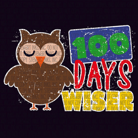 Transfer - 100 Days Wiser Owl