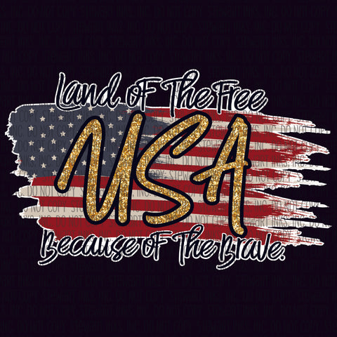 Transfer - Land of the free because of the brave