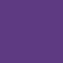 Matte HTV- Purple 12" Roll