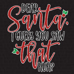 Transfer - Dear Santa I Guess You Saw That