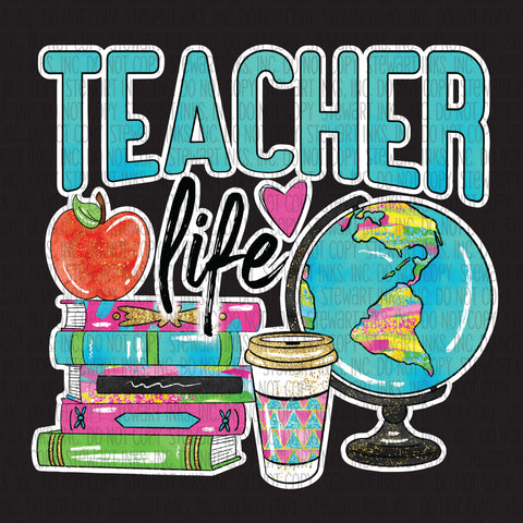 Transfer - Teacher Life
