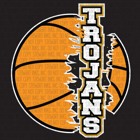 Transfer - Carrollton Trojans Basketball