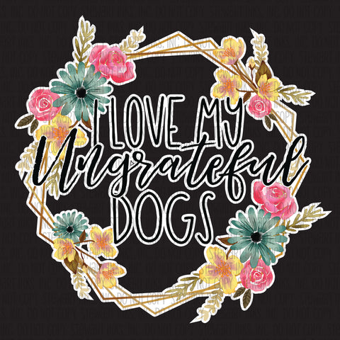 Transfer - I Love My Ungrateful Dogs