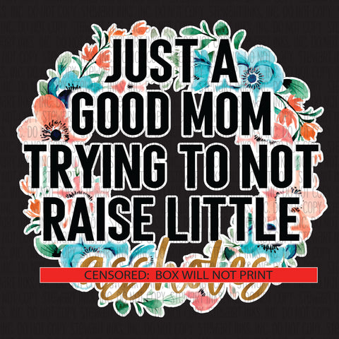 Transfer - Just a Good Mom Trying