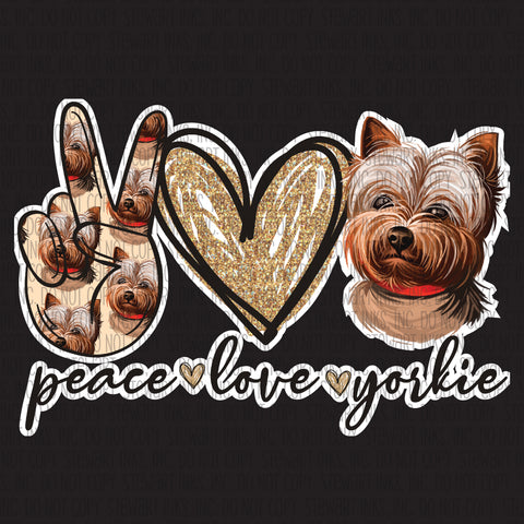 Transfer - Peace Love & Yorkie