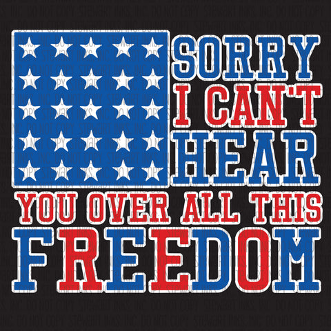 Transfer - Cant Hear You Over All This Freedom