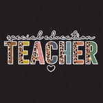 Transfer - Special Education Teacher